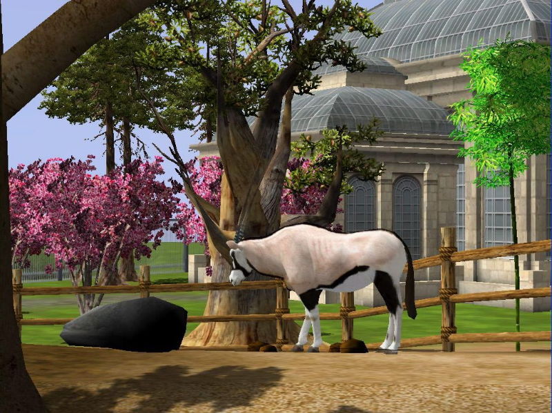 Wildlife Park 2 - screenshot 77