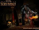 Age of Conan: Hyborian Adventures - wallpaper #9