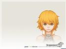 Dragon Nest - wallpaper #29