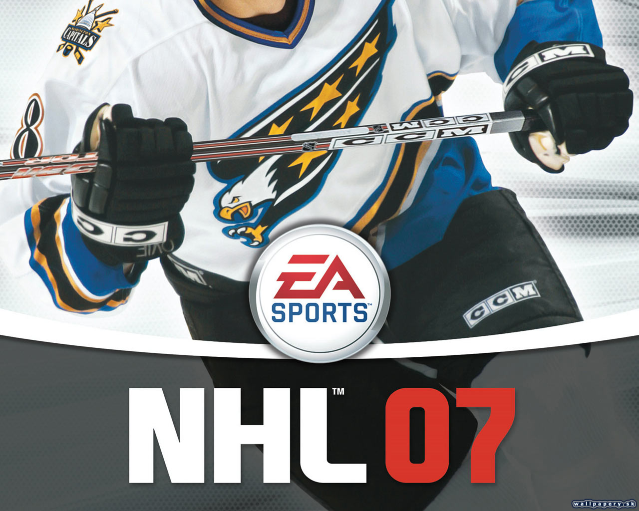 NHL 07 - wallpaper 3