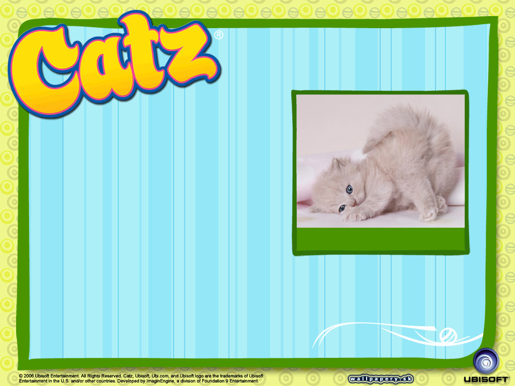 Catz 6 - wallpaper 3