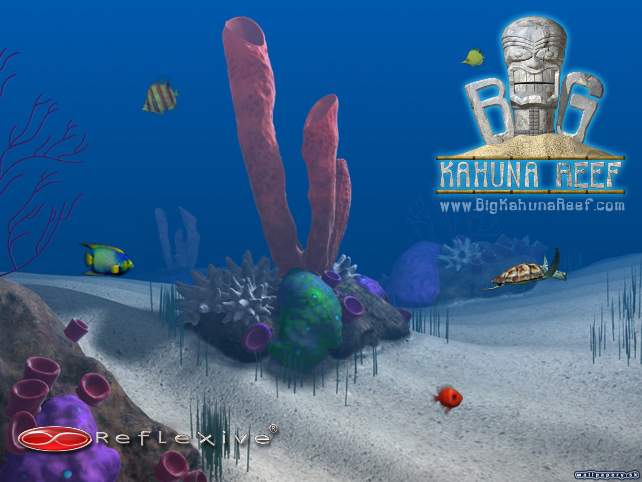Big Kahuna Reef - wallpaper 1