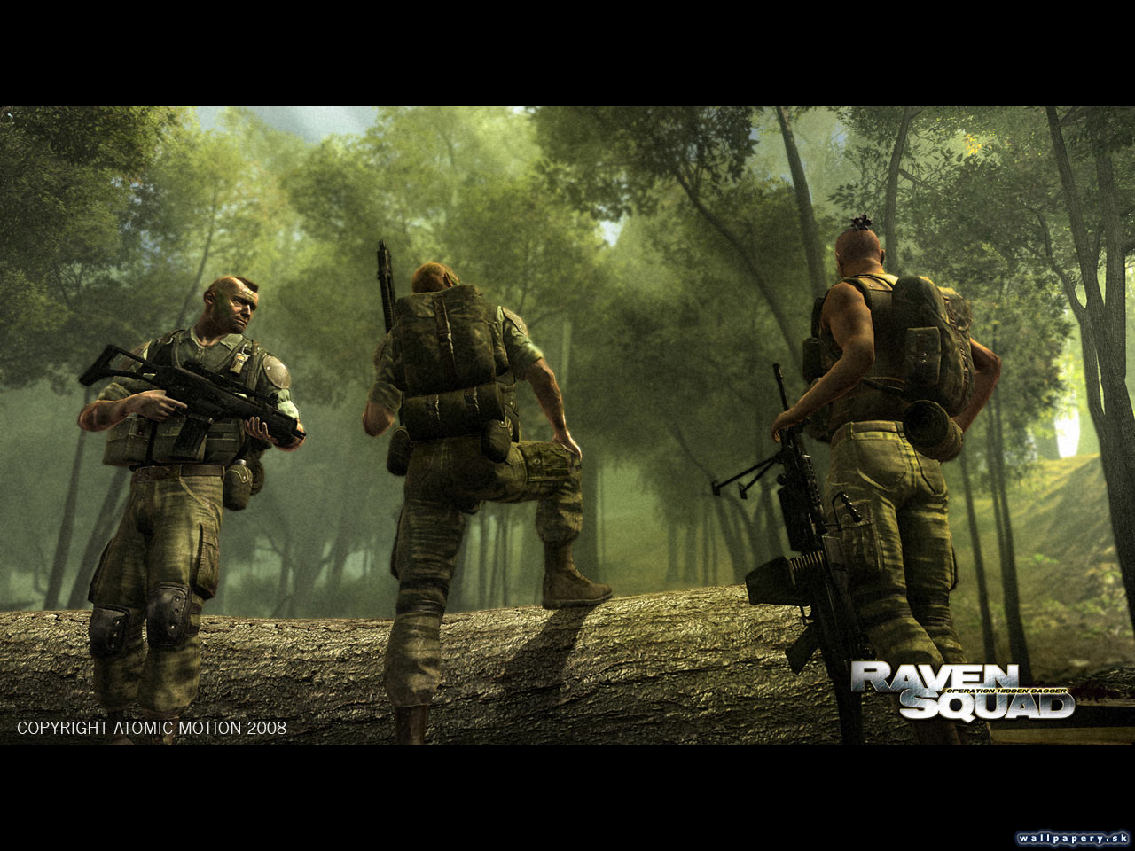 Raven Squad: Operation Hidden Dagger - wallpaper 1