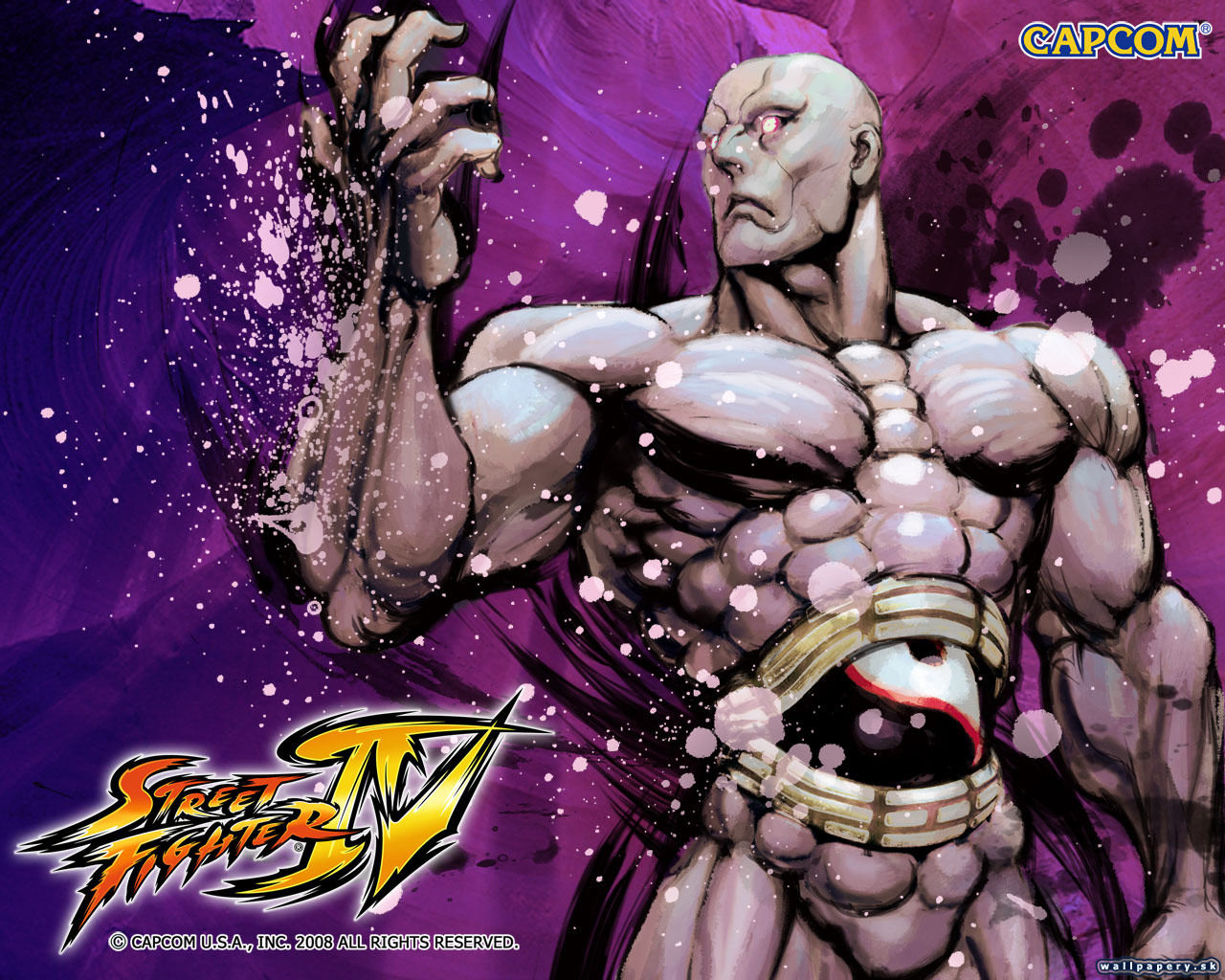 Street Fighter IV - wallpaper 10