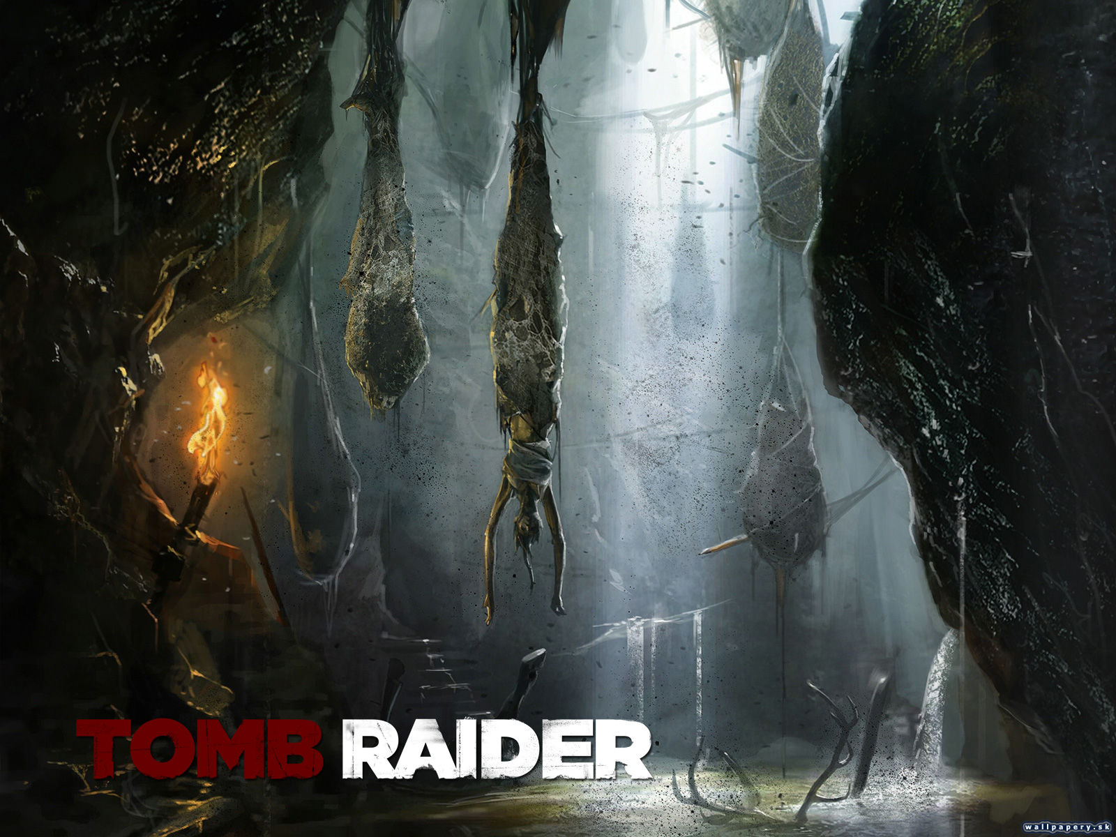 Tomb Raider - wallpaper 5