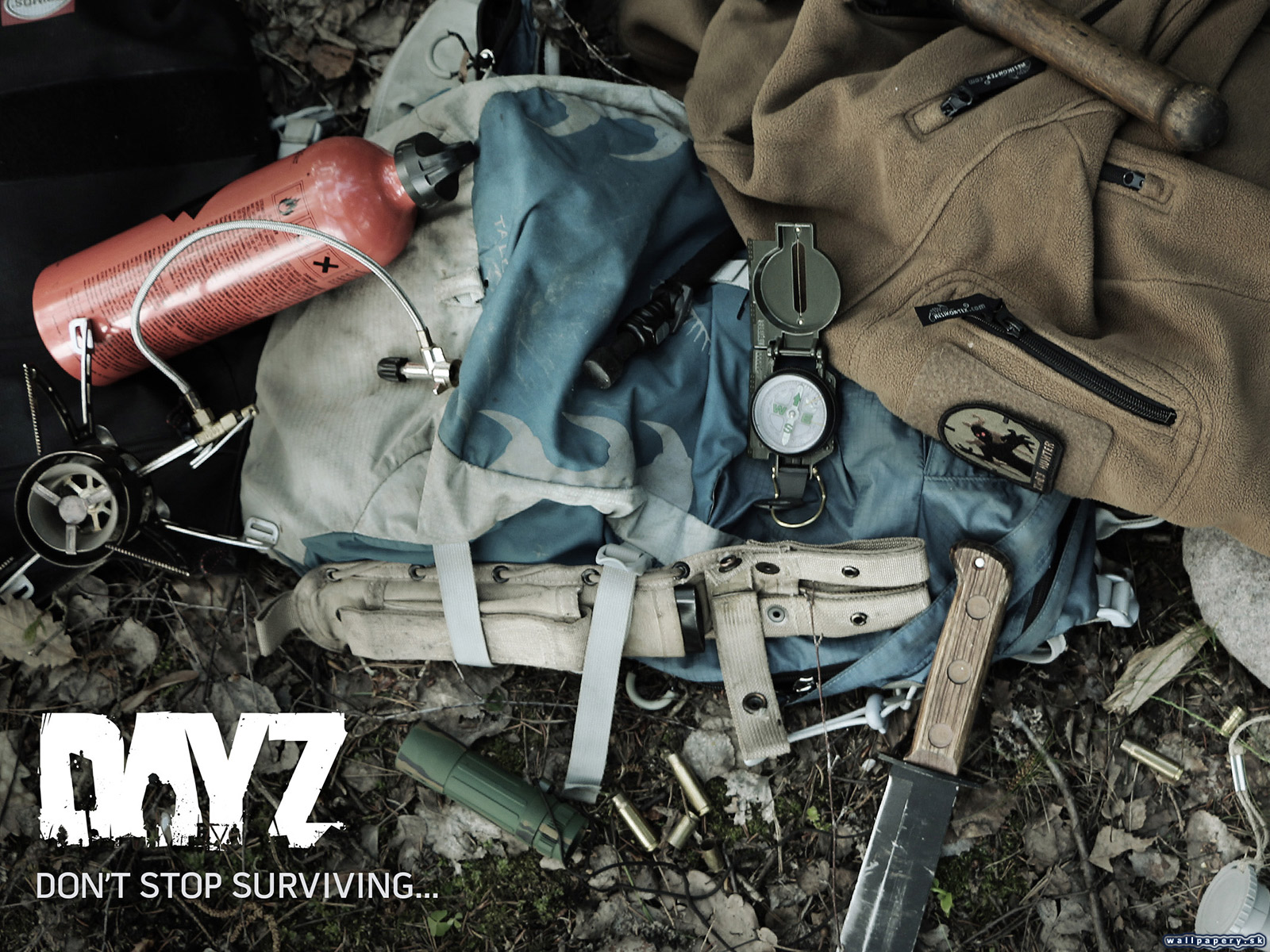 DayZ - wallpaper 2