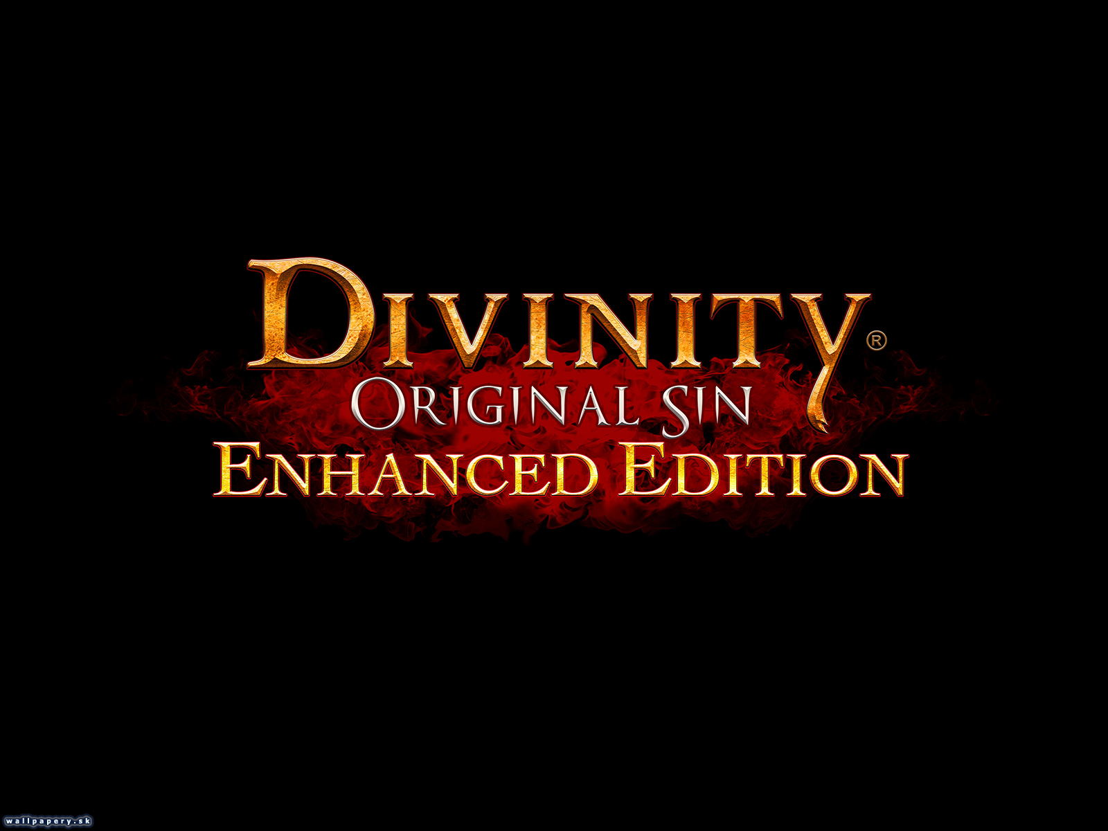 Divinity: Original Sin - Enhanced Edition - wallpaper 2
