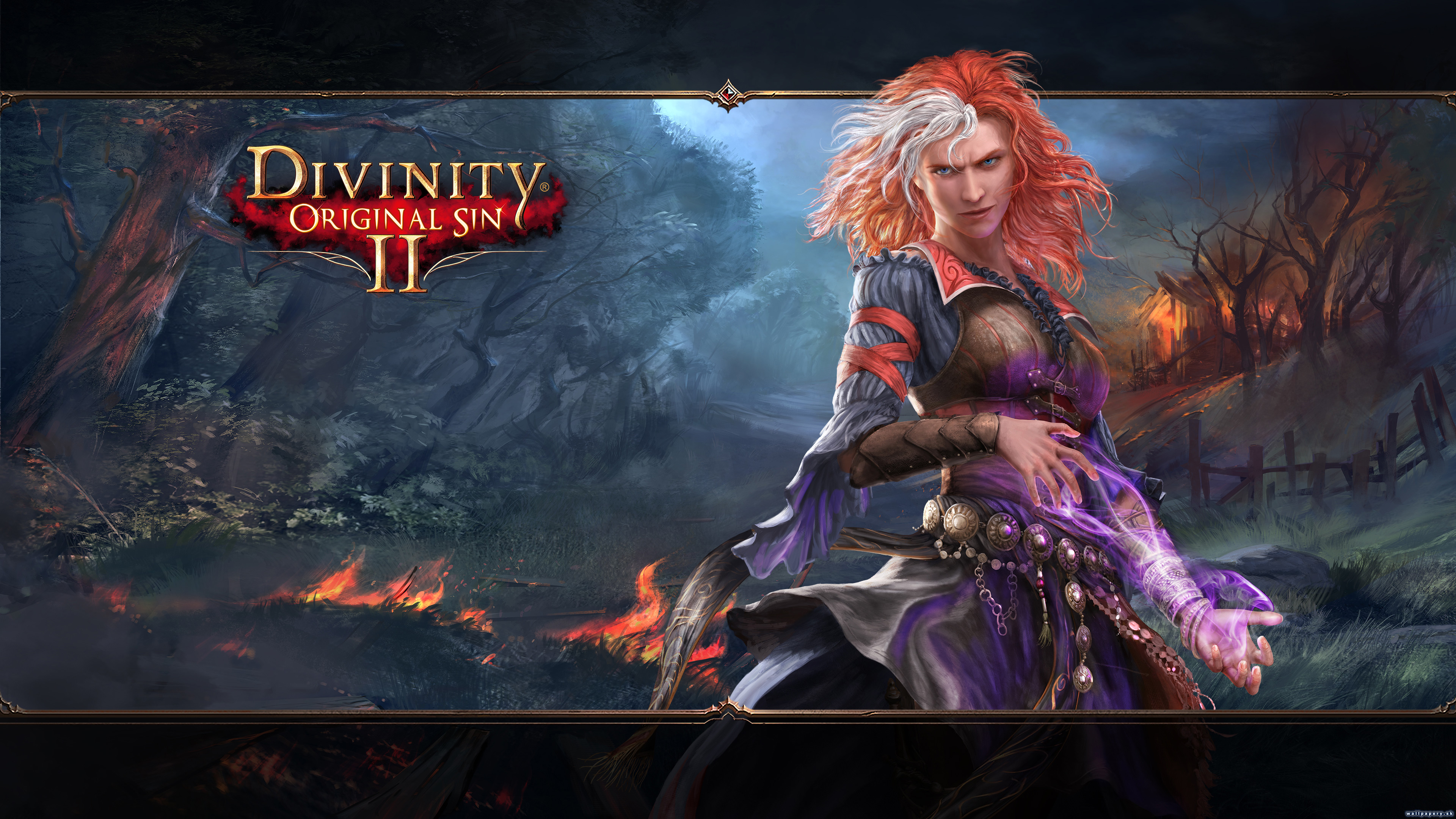 Divinity: Original Sin II - wallpaper 4